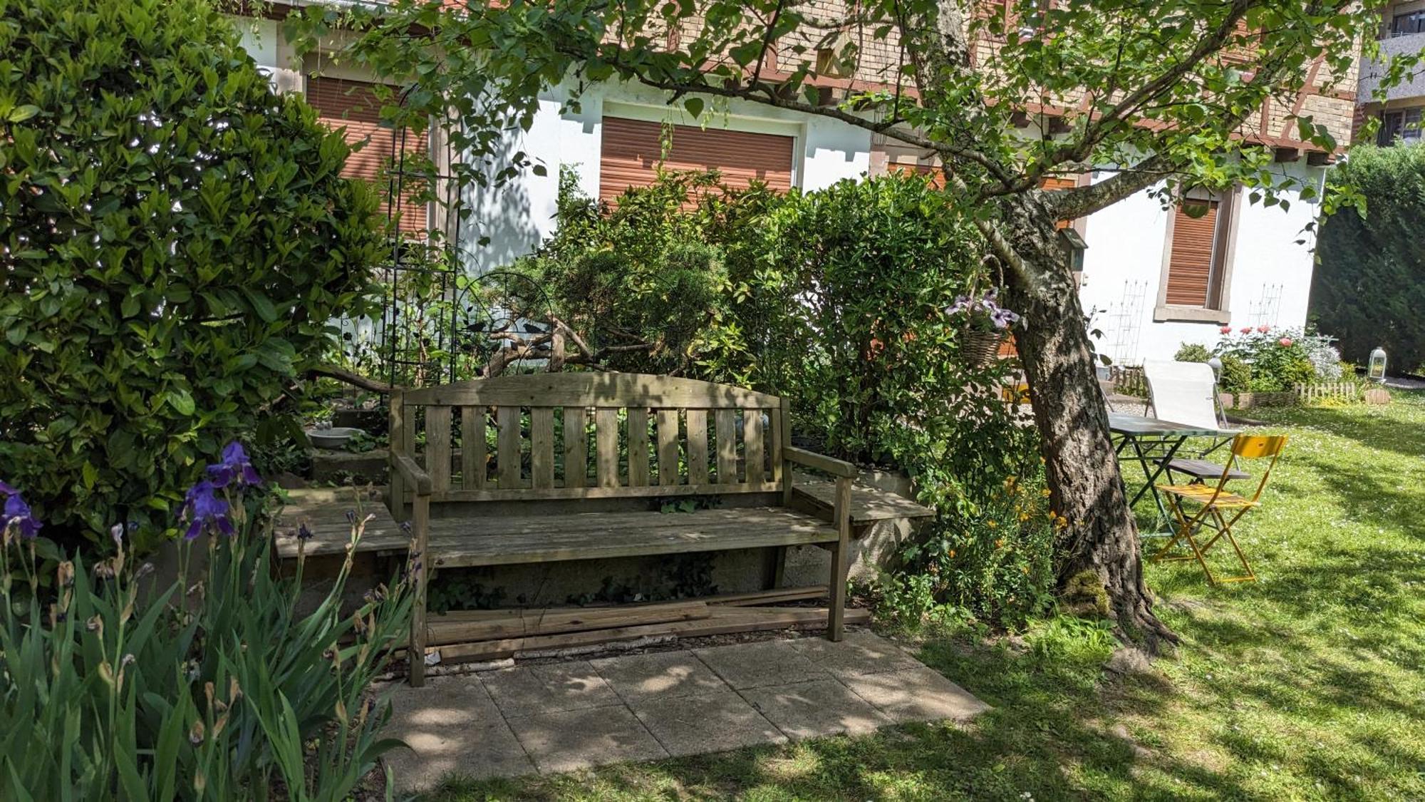 Le Petit Parc Διαμέρισμα Κολμάρ Εξωτερικό φωτογραφία