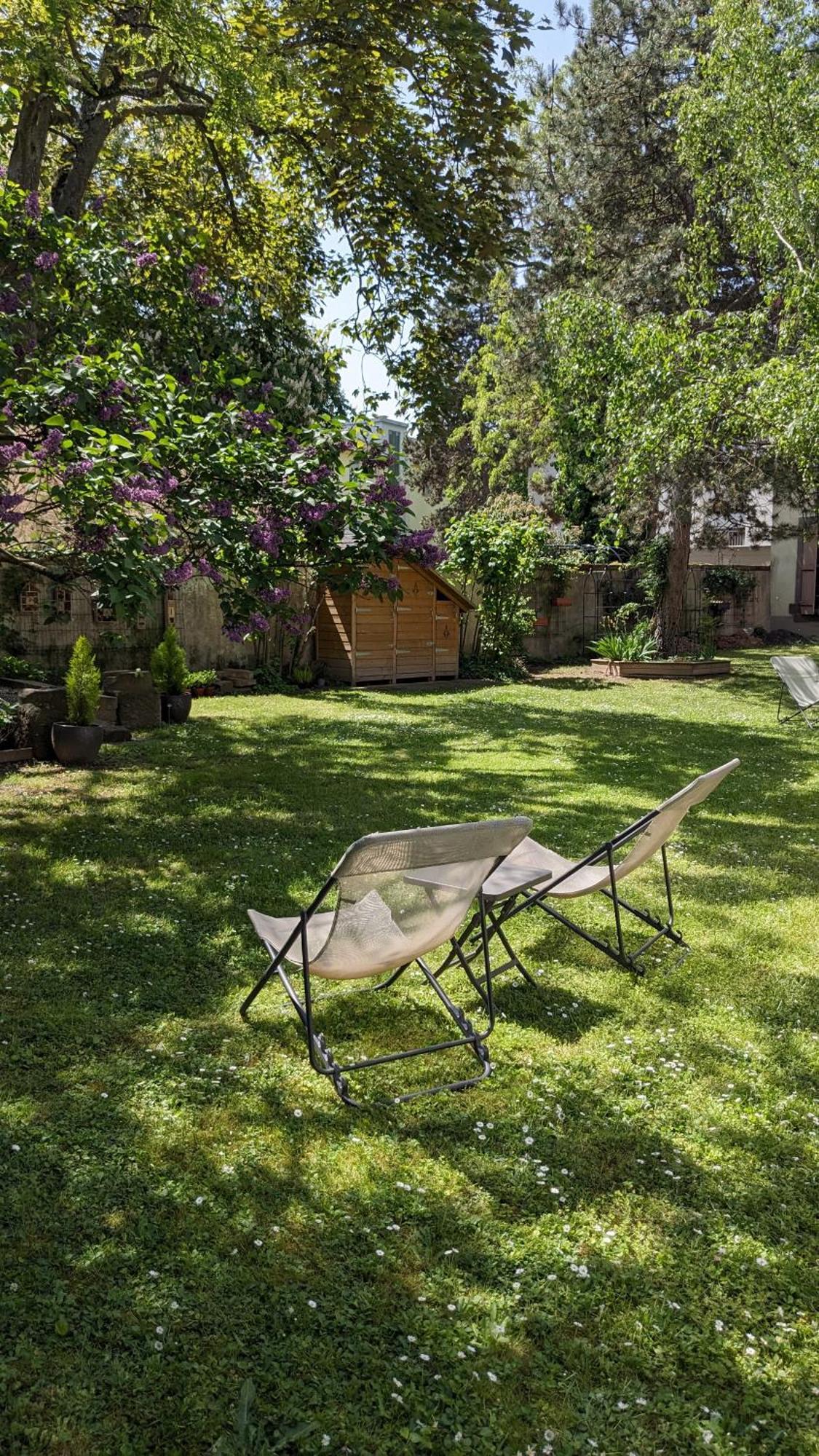 Le Petit Parc Διαμέρισμα Κολμάρ Δωμάτιο φωτογραφία